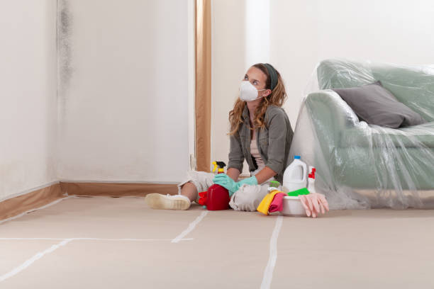 Reliable Commercial Mold Remediation contractor in Camden, NC by WQB Mold Removal